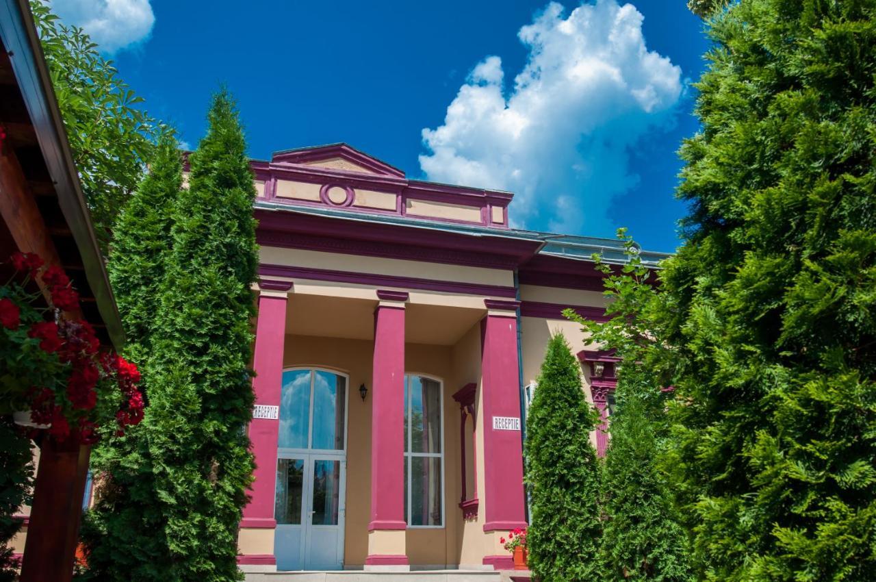 Pensiunea Splendid Дорохой Екстер'єр фото